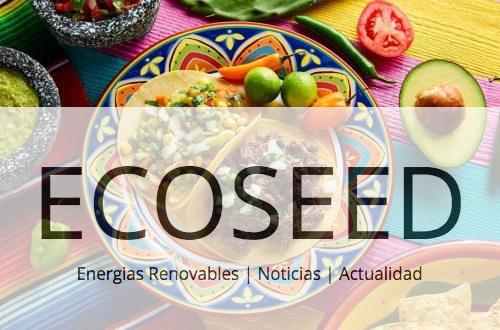 Gastronomía internacional en tu cocina