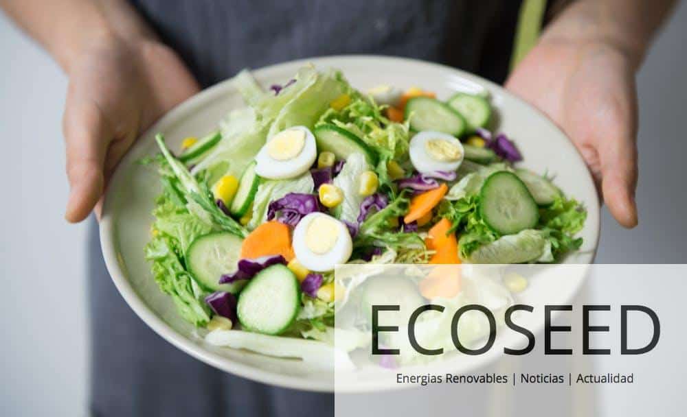 Bowl of Vegetable Salad