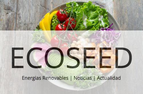 Recetas frescas para el verano
