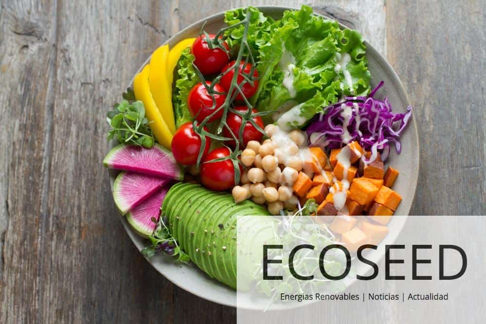Recetas frescas para el verano