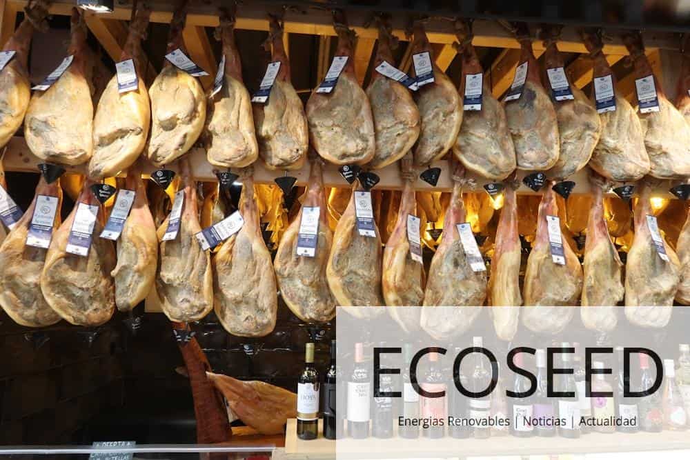 jamón ibérico diferencias jamón serrano