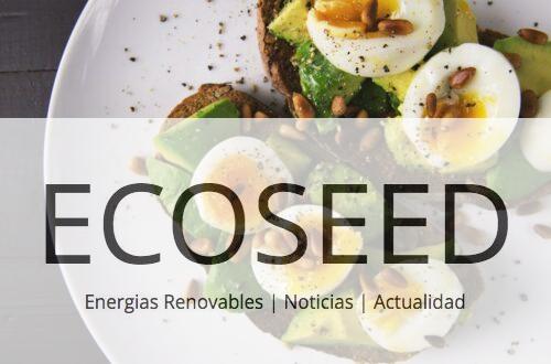 comida saludable