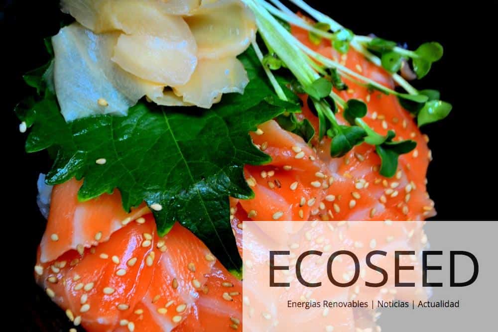 Superalimentos: ¿por qué son tan importantes?