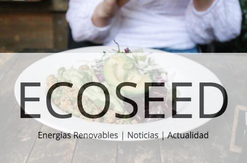 Superalimentos: ¿Cuáles son y por qué son tan importantes?