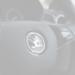 Car Steering Wheel