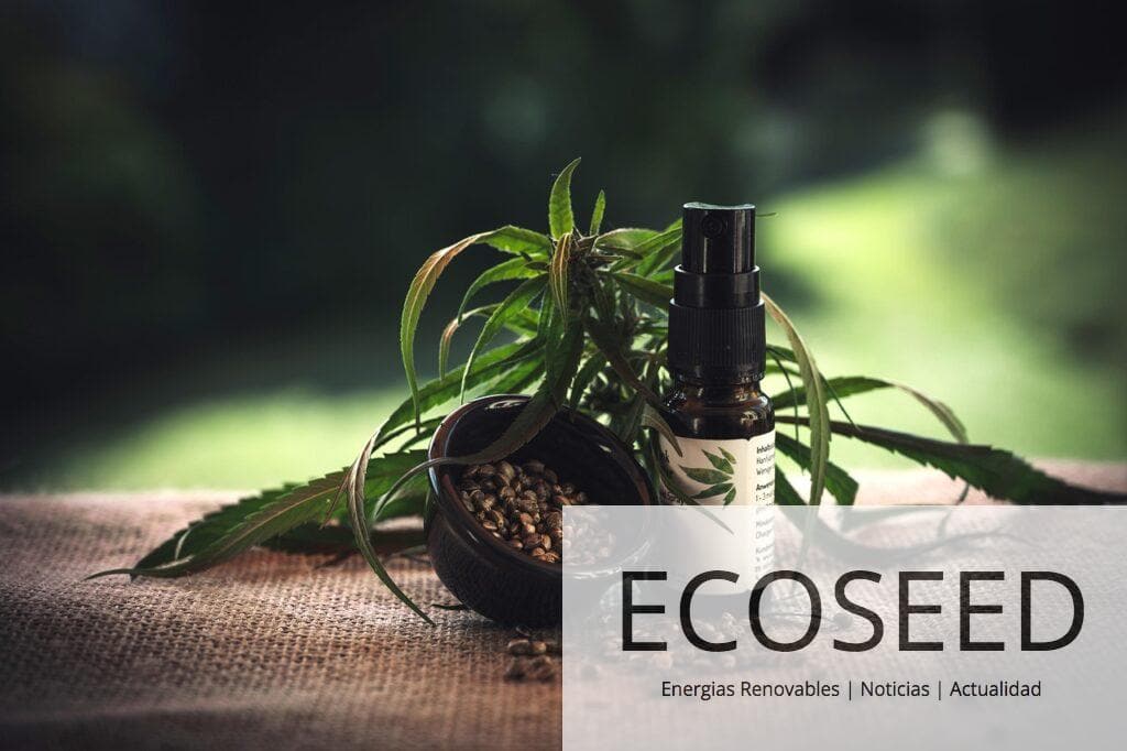 Beneficios de consumir CBD