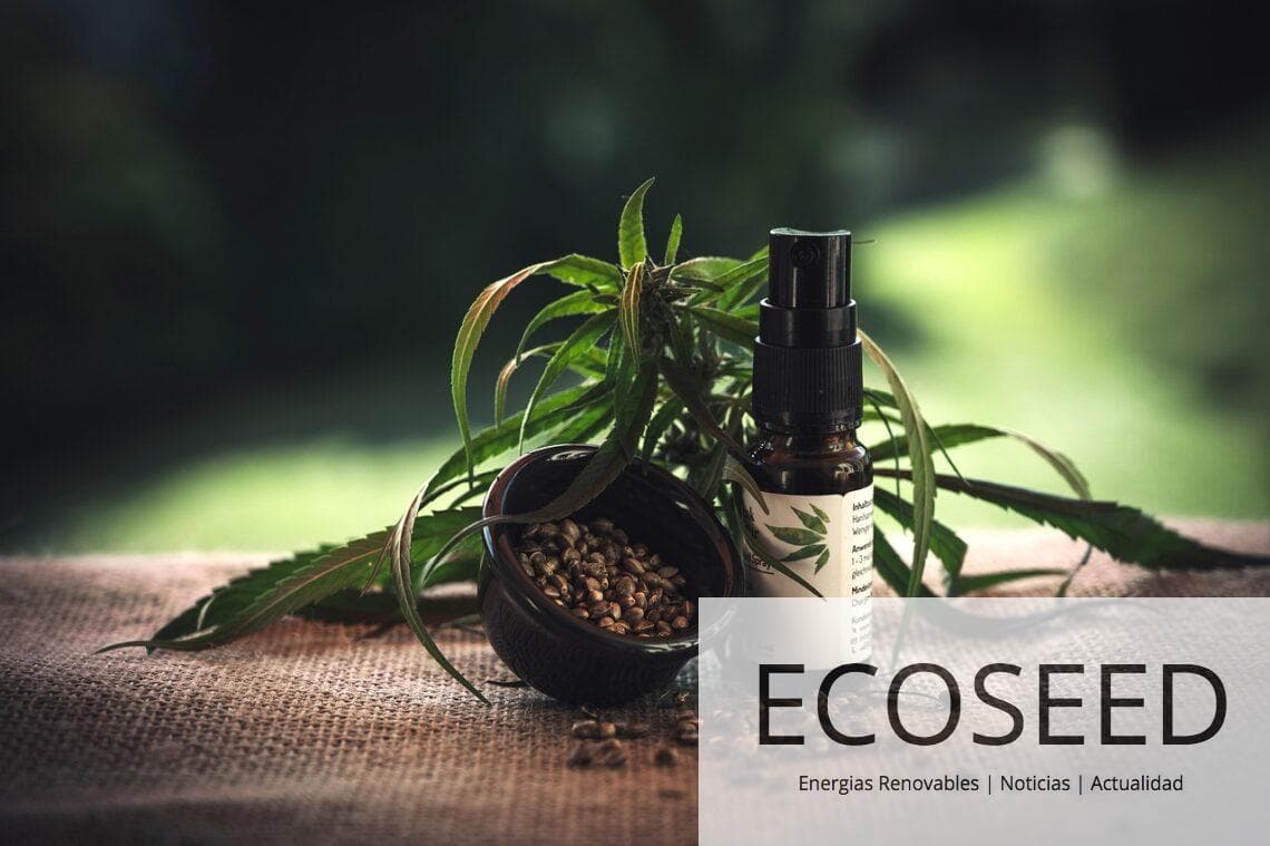 Beneficios de consumir CBD