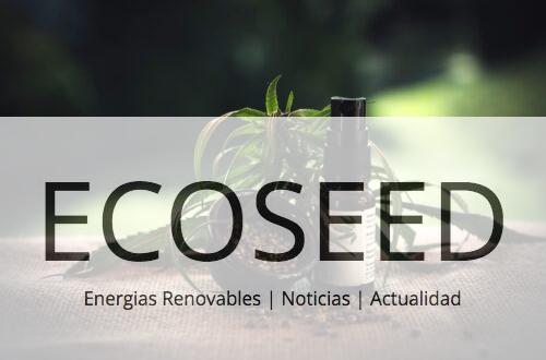 Beneficios de consumir CBD