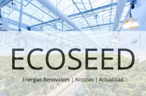 Sativa o indica: Variedades de cannabis sativa más populares