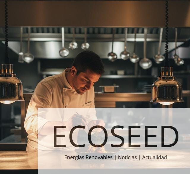 Chef emplatando cocina fusión en una cocina abierta de Madrid