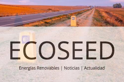 Camino Portugués desde Tui: cómo recorrerlo de forma sostenible