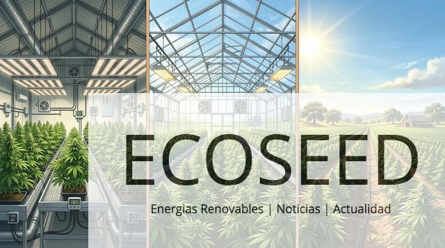 Comparación visual entre cultivo indoor, greenhouse y outdoor